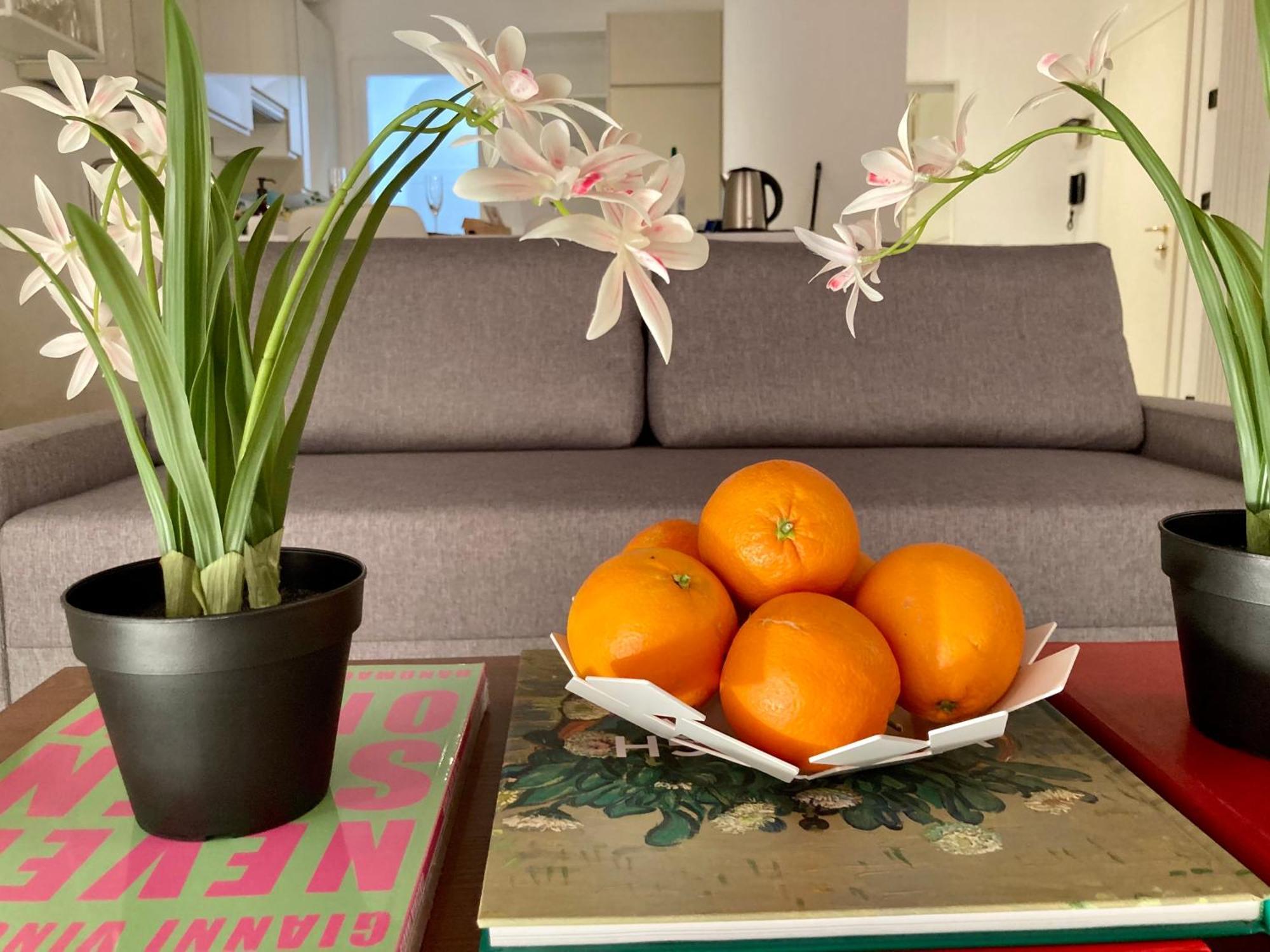Petrarca Deluxe Appartement Padua